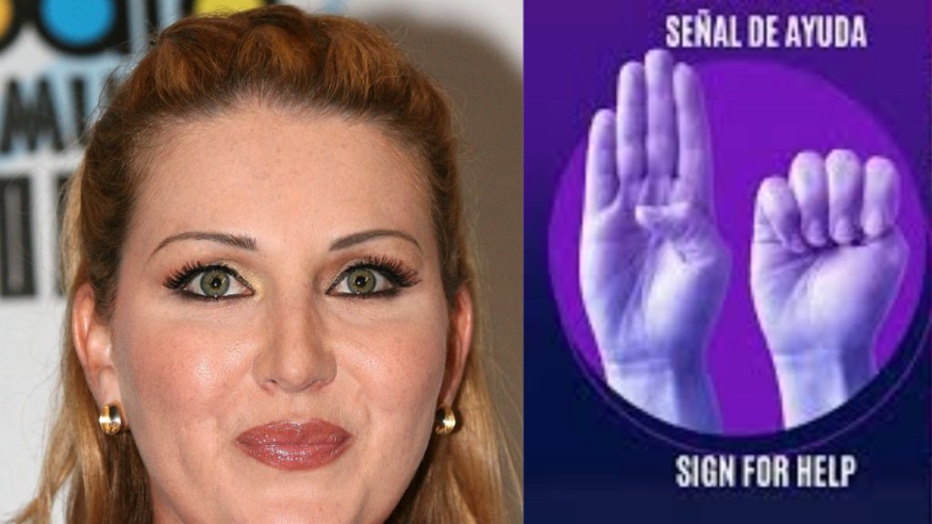 Alicia Villarreal denuncia violencia familiar y usa la señal de auxilio en un show