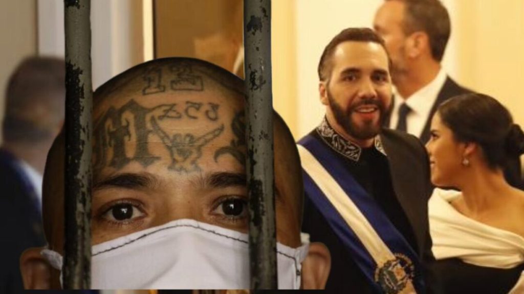 Fiscalía de El Salvador exhuma restos de 11 víctimas de la MS-13 enterradas en cementerio clandestino